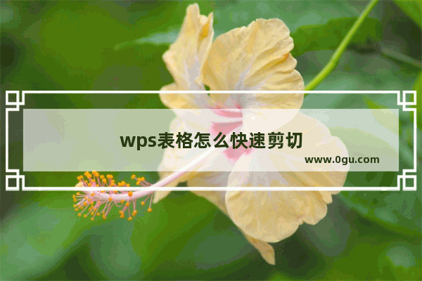 wps表格怎么快速剪切