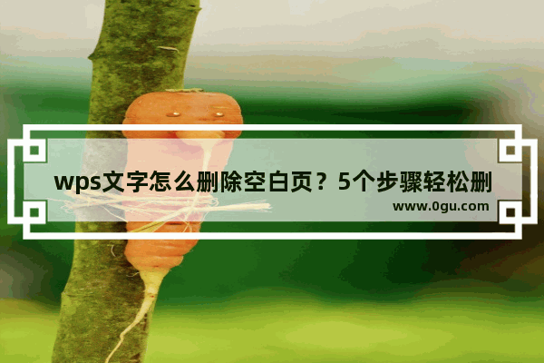 wps文字怎么删除空白页？5个步骤轻松删除空白页！