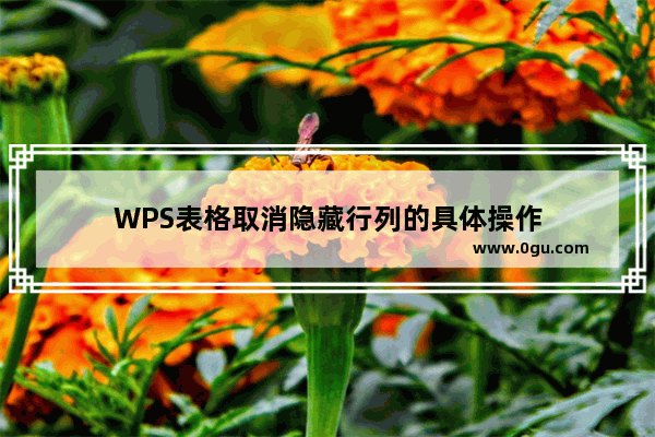 WPS表格取消隐藏行列的具体操作