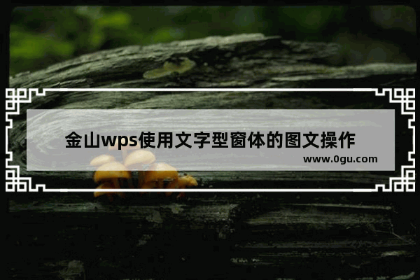 金山wps使用文字型窗体的图文操作