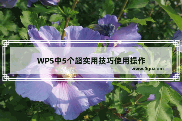 WPS中5个超实用技巧使用操作