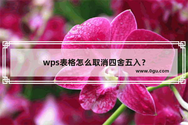 wps表格怎么取消四舍五入？