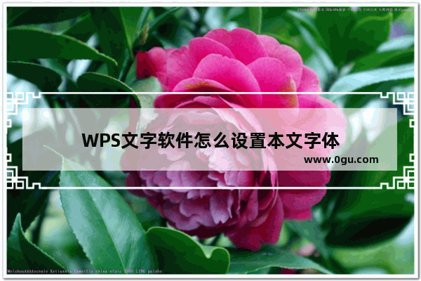 WPS文字软件怎么设置本文字体