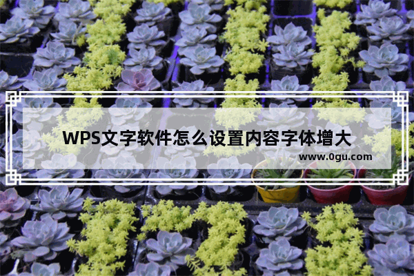 WPS文字软件怎么设置内容字体增大