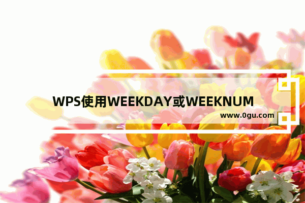 WPS使用WEEKDAY或WEEKNUM函数的详细操作