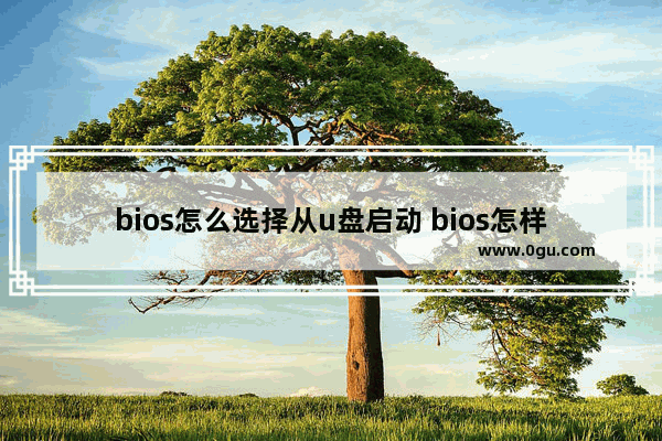 bios怎么选择从u盘启动 bios怎样选择u盘启动