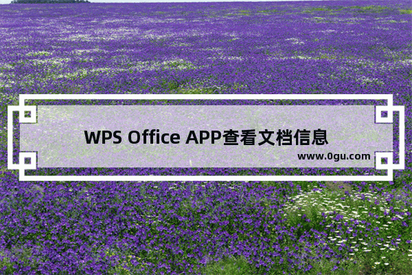 WPS Office APP查看文档信息的具体方法