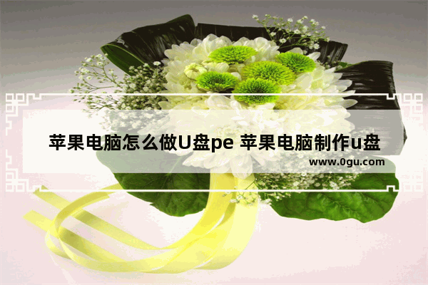 苹果电脑怎么做U盘pe 苹果电脑制作u盘