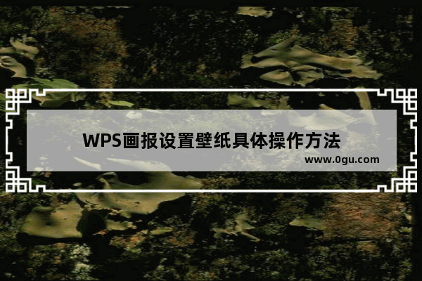 WPS画报设置壁纸具体操作方法