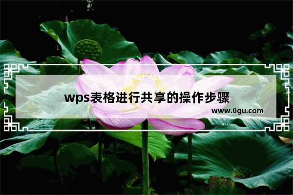 wps表格进行共享的操作步骤