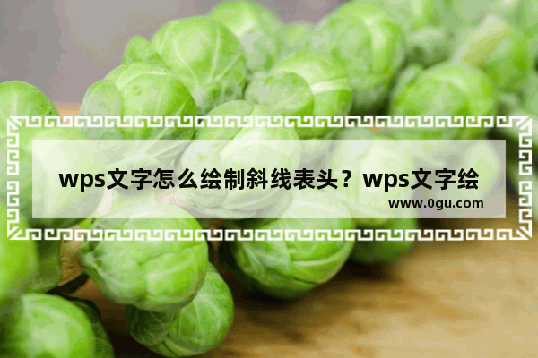 wps文字怎么绘制斜线表头？wps文字绘制斜线表头的方法