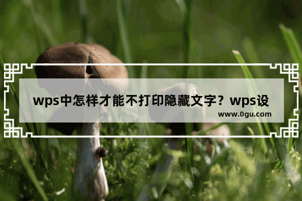 wps中怎样才能不打印隐藏文字？wps设置隐藏文字不打印的方法