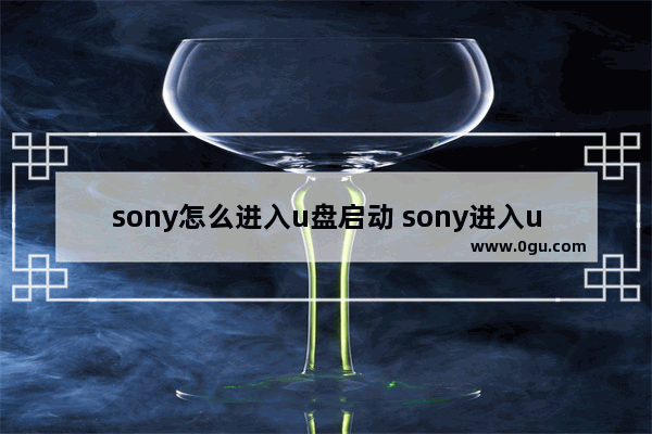 sony怎么进入u盘启动 sony进入u盘启动项