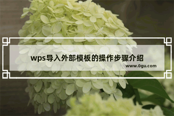 wps导入外部模板的操作步骤介绍