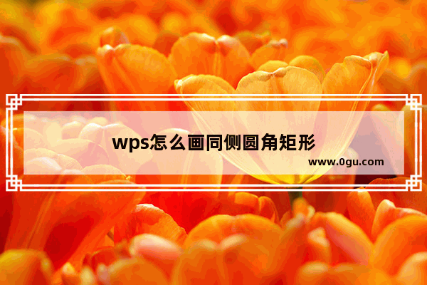 wps怎么画同侧圆角矩形