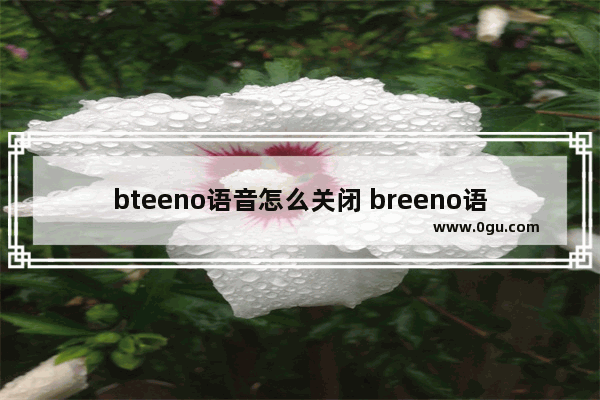 bteeno语音怎么关闭 breeno语音图标怎么关闭