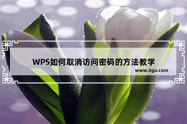 WPS如何取消访问密码的方法教学