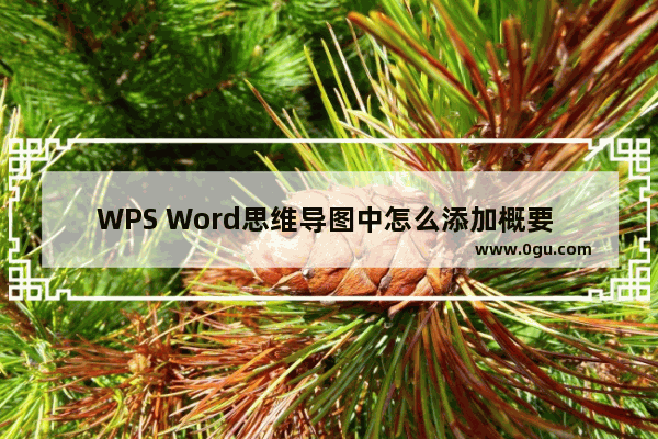 WPS Word思维导图中怎么添加概要 WPS Word思维导图添加概要的方法