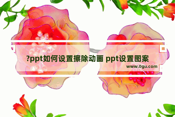 ?ppt如何设置擦除动画 ppt设置图案擦除效果的方法