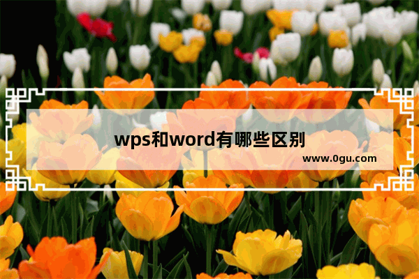 wps和word有哪些区别