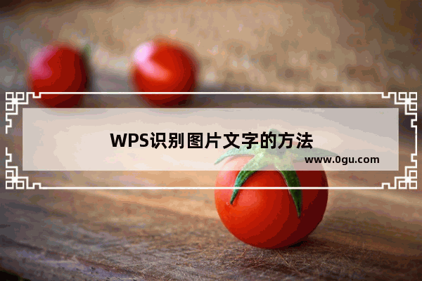 WPS识别图片文字的方法