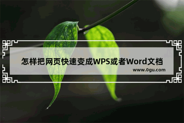 怎样把网页快速变成WPS或者Word文档？网页怎么转为wps或者word文档