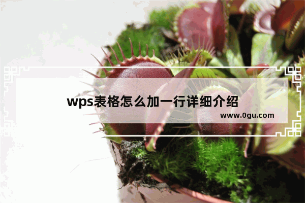 wps表格怎么加一行详细介绍