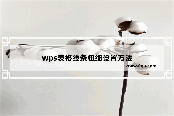 wps表格线条粗细设置方法