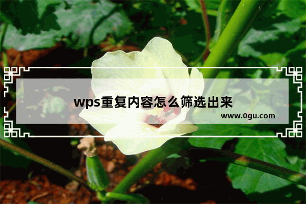 wps重复内容怎么筛选出来