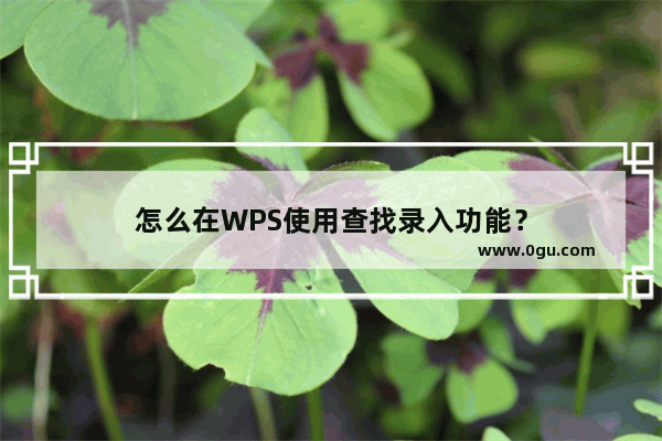 怎么在WPS使用查找录入功能？