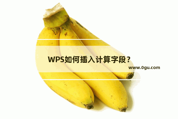 WPS如何插入计算字段？