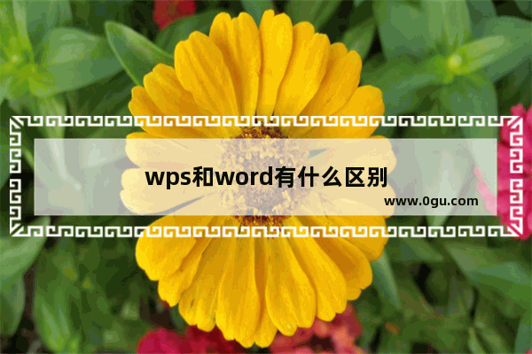 wps和word有什么区别