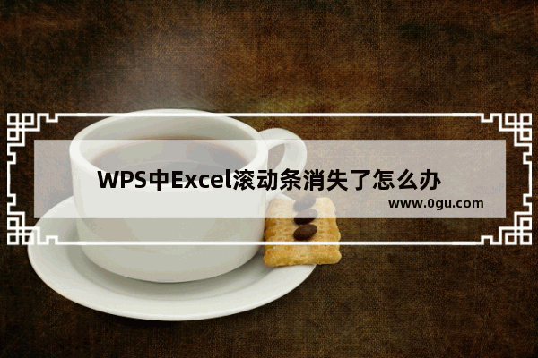 WPS中Excel滚动条消失了怎么办