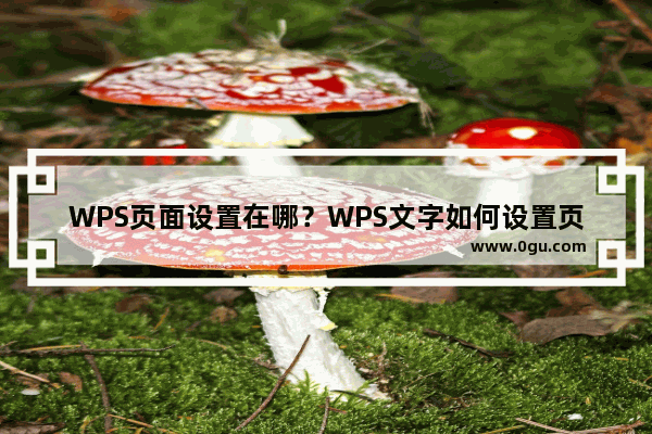 WPS页面设置在哪？WPS文字如何设置页面？