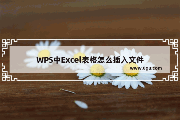 WPS中Excel表格怎么插入文件