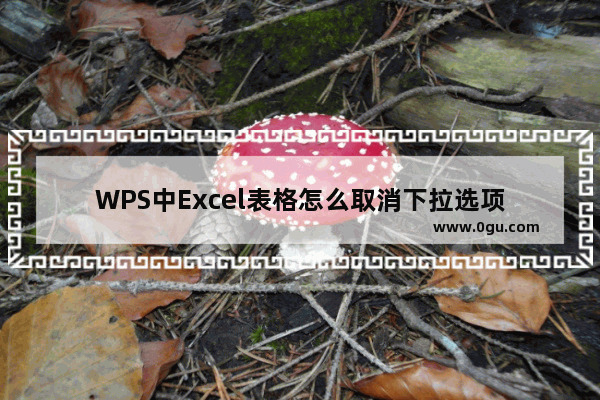 WPS中Excel表格怎么取消下拉选项