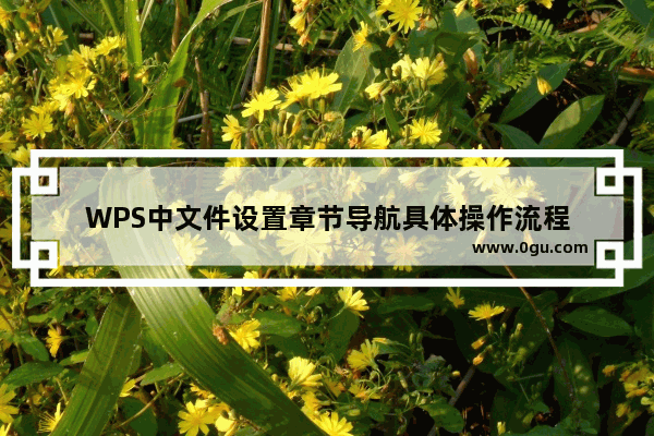 WPS中文件设置章节导航具体操作流程