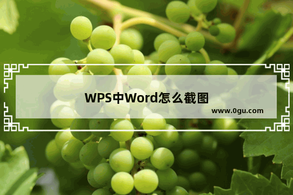 WPS中Word怎么截图