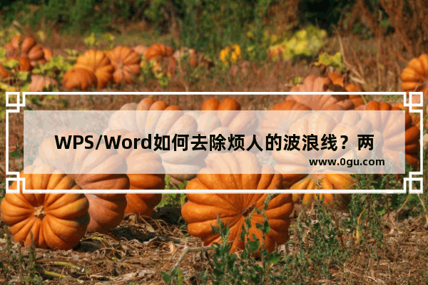 WPS/Word如何去除烦人的波浪线？两步轻松去掉WPS/Word波浪线