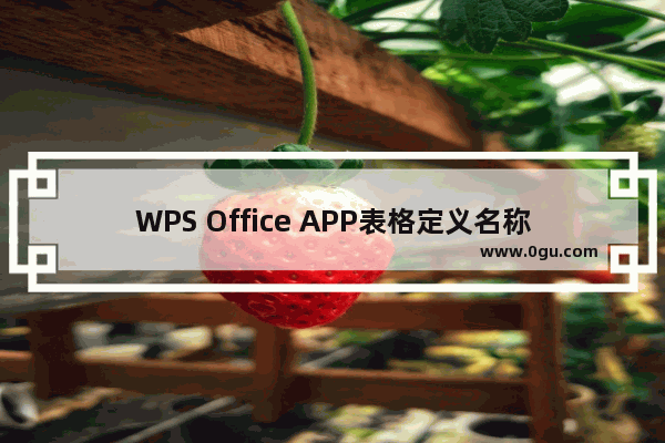 WPS Office APP表格定义名称怎么设置？设置表格定义名称的方法说明