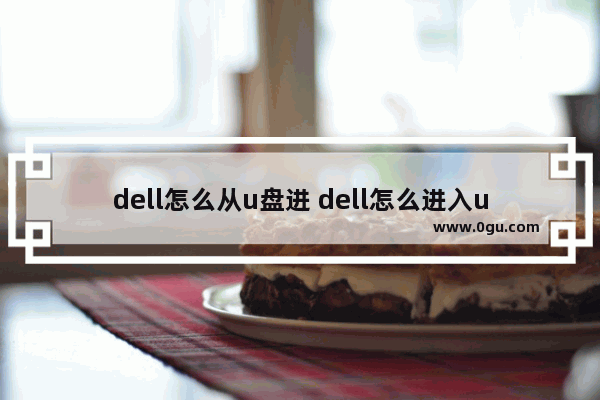 dell怎么从u盘进 dell怎么进入u盘