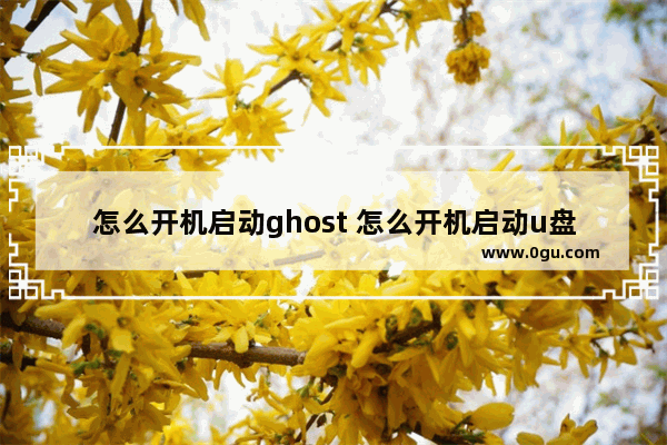 怎么开机启动ghost 怎么开机启动u盘