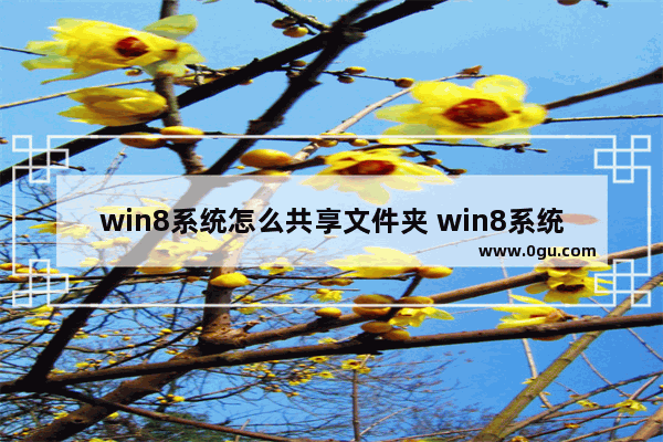 win8系统怎么共享文件夹 win8系统怎么共享文件夹到电脑