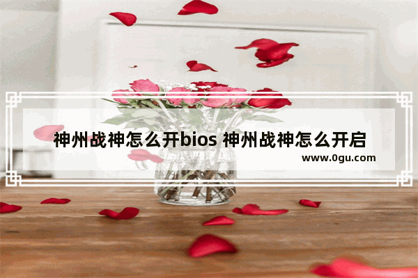 神州战神怎么开bios 神州战神怎么开启vt