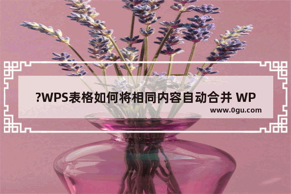 ?WPS表格如何将相同内容自动合并 WPS Excel合并相同内容的方法教程