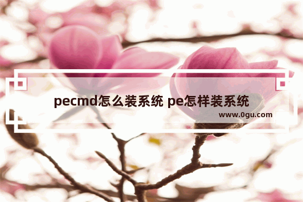 pecmd怎么装系统 pe怎样装系统