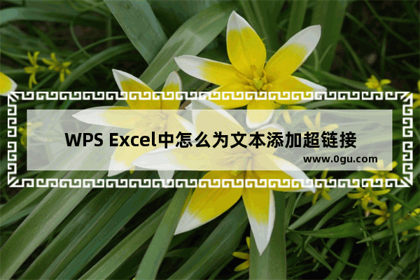 WPS Excel中怎么为文本添加超链接 WPS Excel中为文本添加超链接的方法