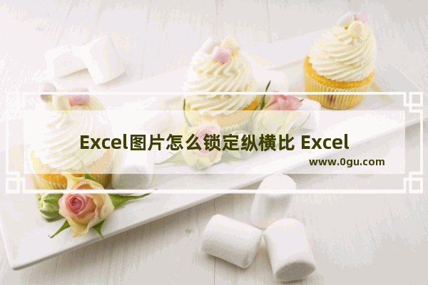 Excel图片怎么锁定纵横比 Excel图片锁定纵横比的方法