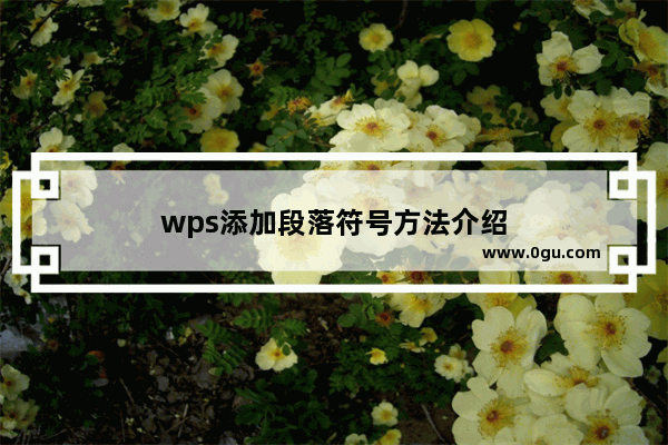 wps添加段落符号方法介绍