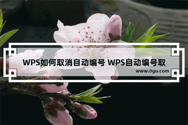 WPS如何取消自动编号 WPS自动编号取消方法